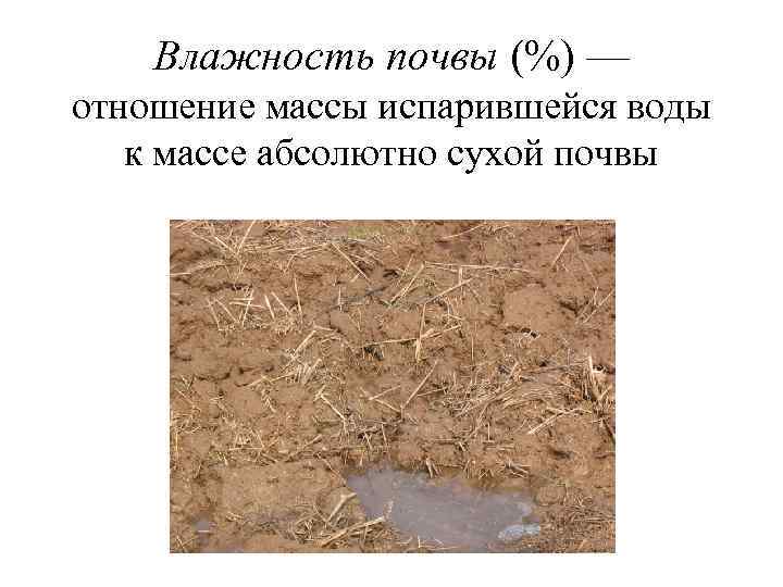 Влажность почвы (%) — отношение массы испарившейся воды к массе абсолютно сухой почвы 