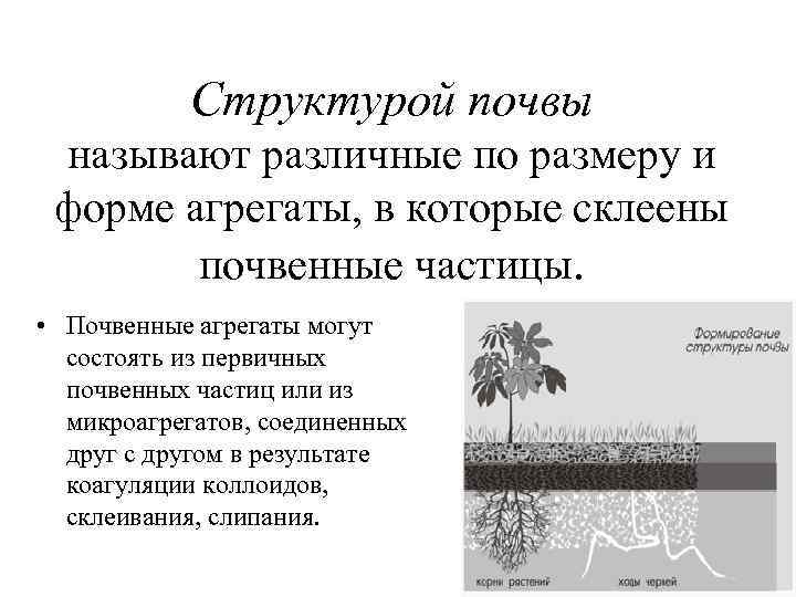 Структурой почвы называют различные по размеру и форме агрегаты, в которые склеены почвенные частицы.