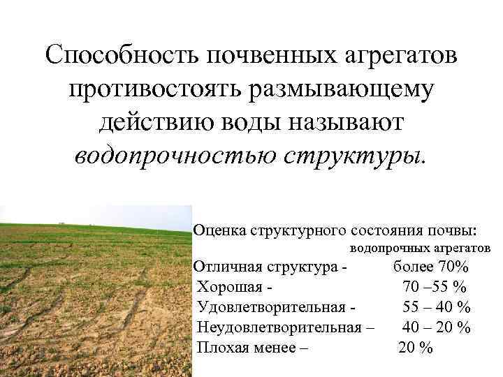 Способность почвенных агрегатов противостоять размывающему действию воды называют водопрочностью структуры. Оценка структурного состояния почвы: