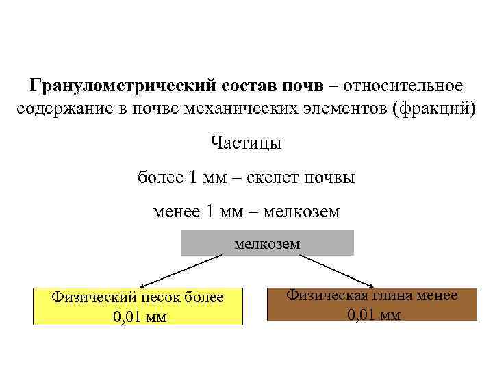 Гранулометрический состав почв – относительное содержание в почве механических элементов (фракций) Частицы более 1