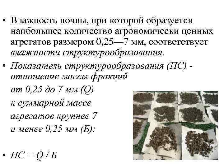  • Влажность почвы, при которой образуется наибольшее количество агрономически ценных агрегатов размером 0,