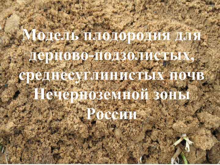 Модель плодородия для дерново-подзолистых, среднесуглинистых почв Нечерноземной зоны России 