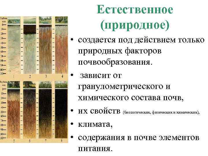 Естественное (природное) • создается под действием только природных факторов почвообразования. • зависит от гранулометрического