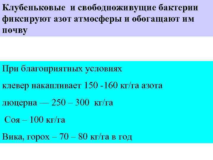 Клубеньковые и свободноживущие бактерии фиксируют азот атмосферы и обогащают им почву При благоприятных условиях