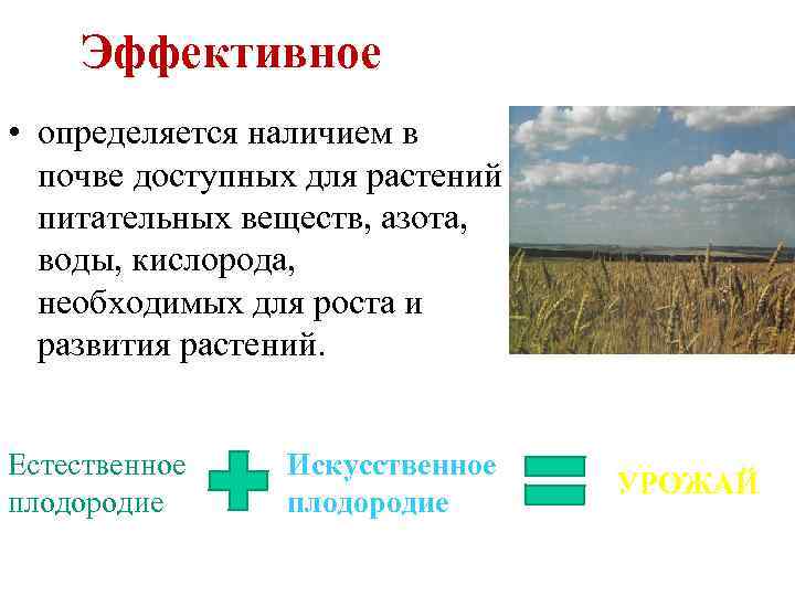 Эффективное • определяется наличием в почве доступных для растений питательных веществ, азота, воды, кислорода,