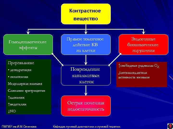 Контрастное вещество Гемодинамические эффекты Прямое токсичное действие КВ на клетки Преренальные • дегидратация •