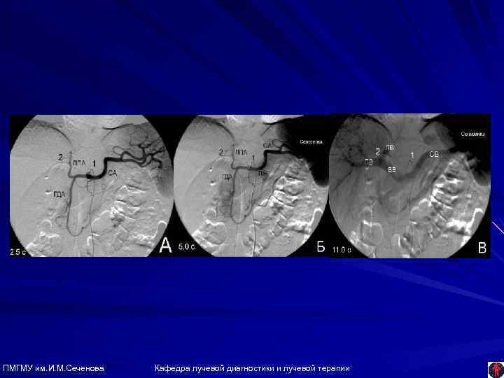 ПМГМУ им. И. М. Сеченова Кафедра лучевой диагностики и лучевой терапии 
