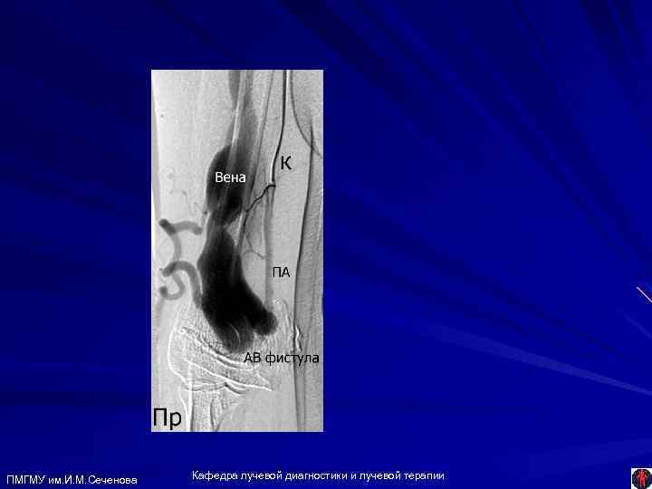 ПМГМУ им. И. М. Сеченова Кафедра лучевой диагностики и лучевой терапии 