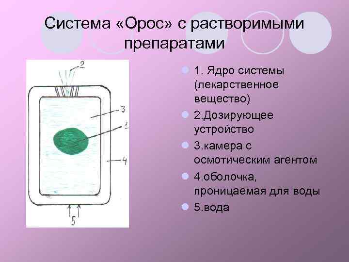 Система «Орос» с растворимыми препаратами l 1. Ядро системы (лекарственное вещество) l 2. Дозирующее