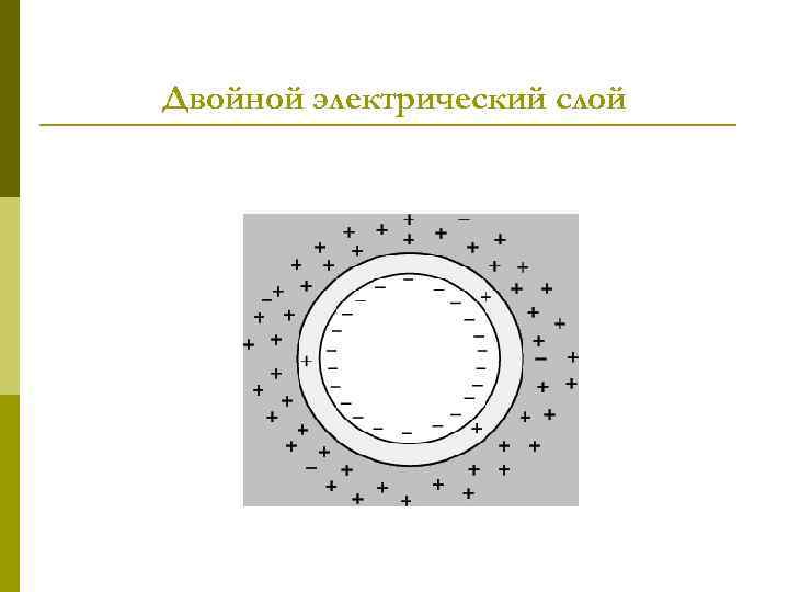 Двойной электрический слой 