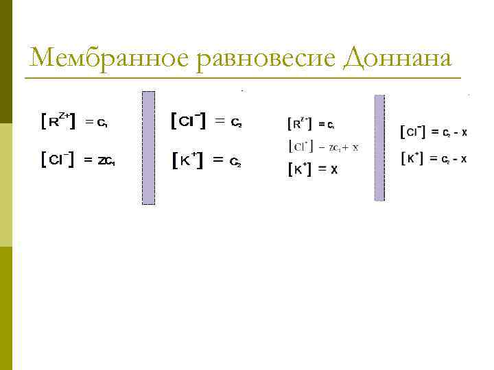 Мембранное равновесие Доннана 