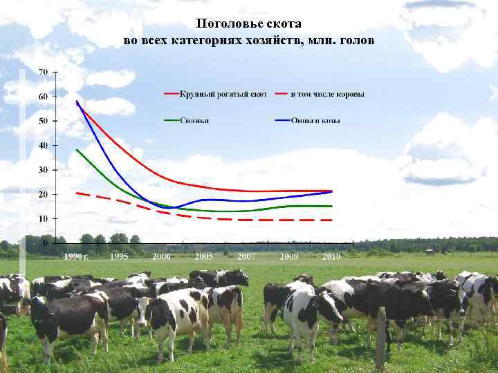 Поголовье скота во всех категориях хозяйств, млн. голов 