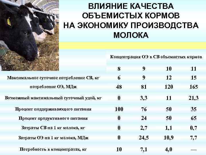 ВЛИЯНИЕ КАЧЕСТВА ОБЪЕМИСТЫХ КОРМОВ НА ЭКОНОМИКУ ПРОИЗВОДСТВА МОЛОКА Концентрация ОЭ в СВ объемистых кормов