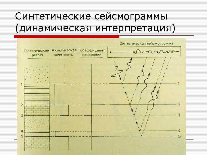 Синтетические сейсмограммы (динамическая интерпретация) 