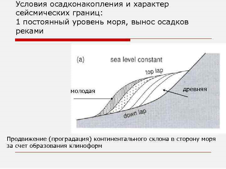 Условия осадконакопления и характер сейсмических границ: 1 постоянный уровень моря, вынос осадков реками молодая