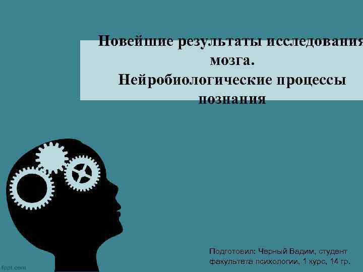 Новейшие результаты исследования мозга. Нейробиологические процессы познания Подготовил: Черный Вадим, студент факультета психологии, 1