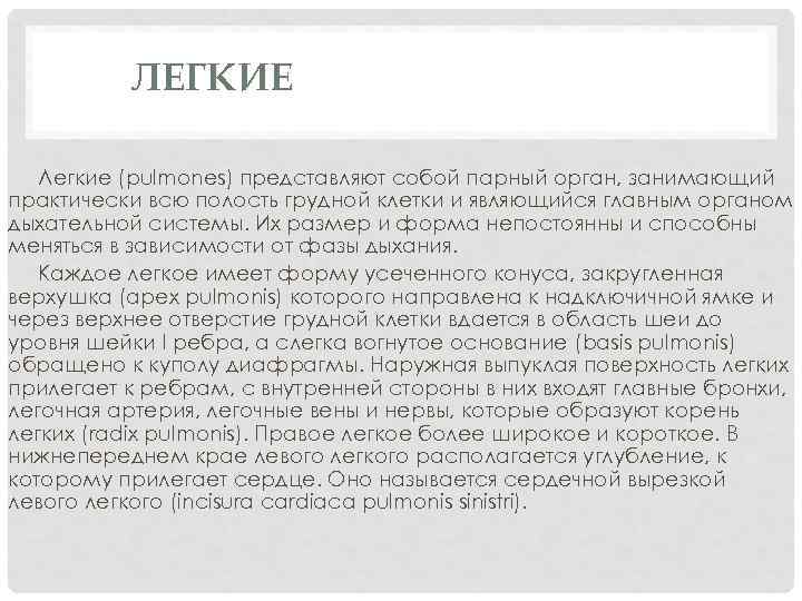 ЛЕГКИЕ Легкие (pulmones) представляют собой парный орган, занимающий практически всю полость грудной клетки и