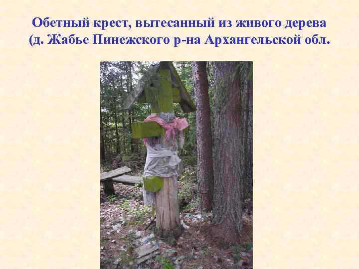 Обетный крест, вытесанный из живого дерева (д. Жабье Пинежского р-на Архангельской обл. 