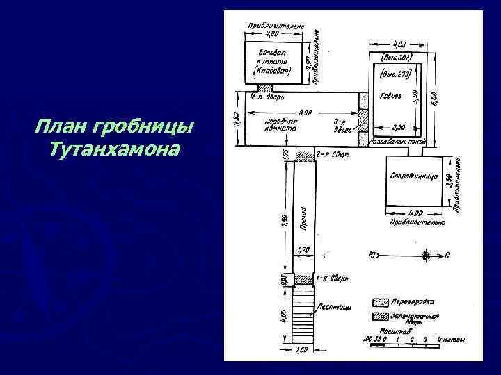 План гробницы Тутанхамона 
