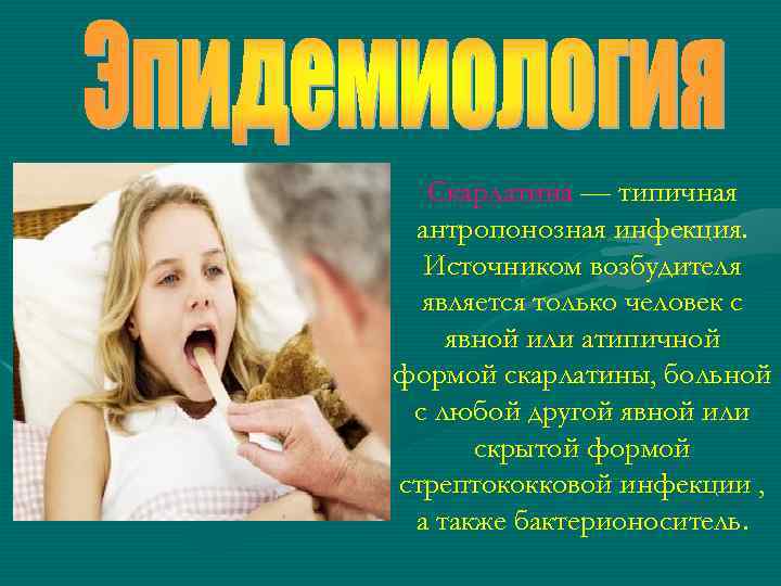 Скарлатина — типичная антропонозная инфекция. Источником возбудителя является только человек с явной или атипичной