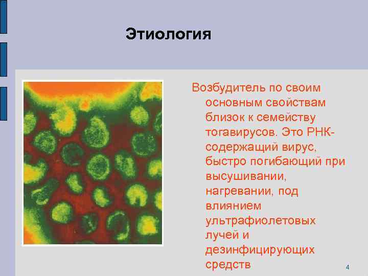 Этиология Возбудитель по своим основным свойствам близок к семейству тогавирусов. Это РНКсодержащий вирус, быстро