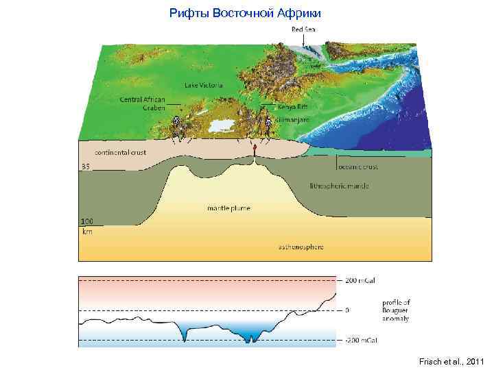 Рифты Восточной Африки Frisch et al. , 2011 