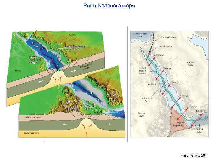 Рифт Красного моря Frisch et al. , 2011 