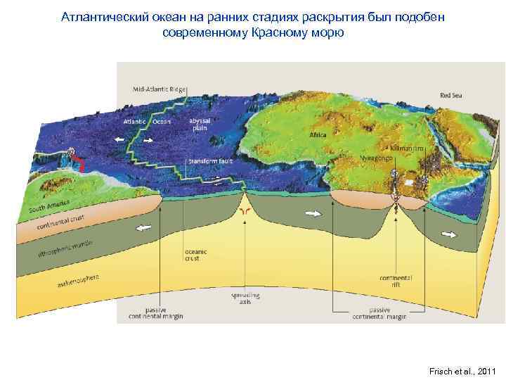Атлантический океан на ранних стадиях раскрытия был подобен современному Красному морю Frisch et al.