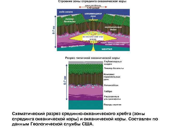 Схематический разрез срединно-океанического хребта (зоны спрединга океанической коры) и океанической коры. Составлен по данным
