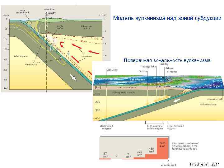 Модель вулканизма над зоной субдукции Поперечная зональность вулканизма Frisch et al. , 2011 