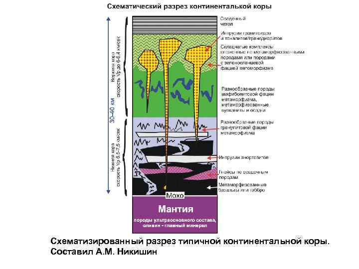 Схематизированный разрез типичной континентальной коры. Составил А. М. Никишин 