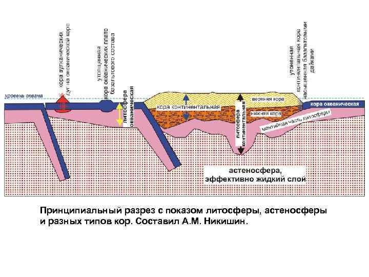 Принципиальный разрез с показом литосферы, астеносферы и разных типов кор. Составил А. М. Никишин.