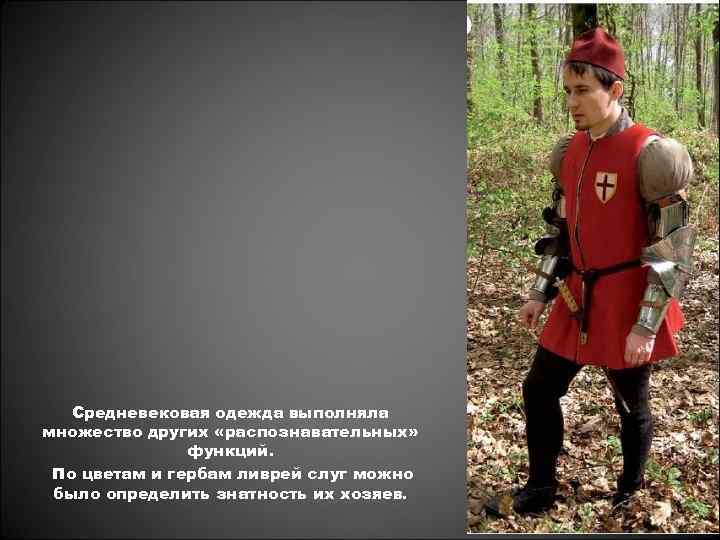 Средневековая одежда выполняла множество других «распознавательных» функций. По цветам и гербам ливрей слуг можно
