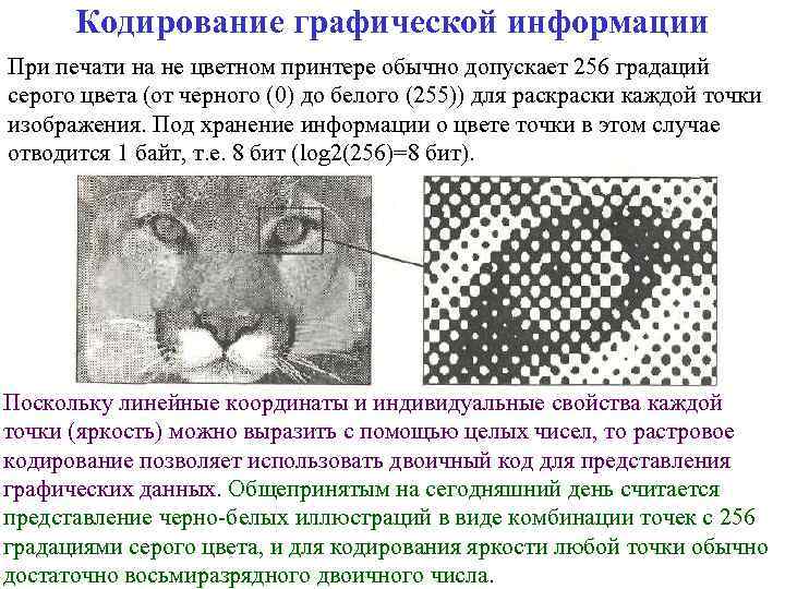 Кодирование графической информации При печати на не цветном принтере обычно допускает 256 градаций серого