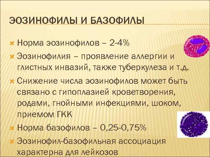 ЭОЗИНОФИЛЫ И БАЗОФИЛЫ Норма эозинофилов – 2 -4% Эозинофилия – проявление аллергии и глистных