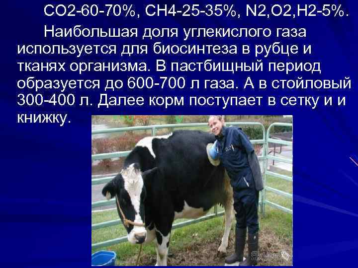 СО 2 -60 -70%, СН 4 -25 -35%, N 2, О 2, Н 2