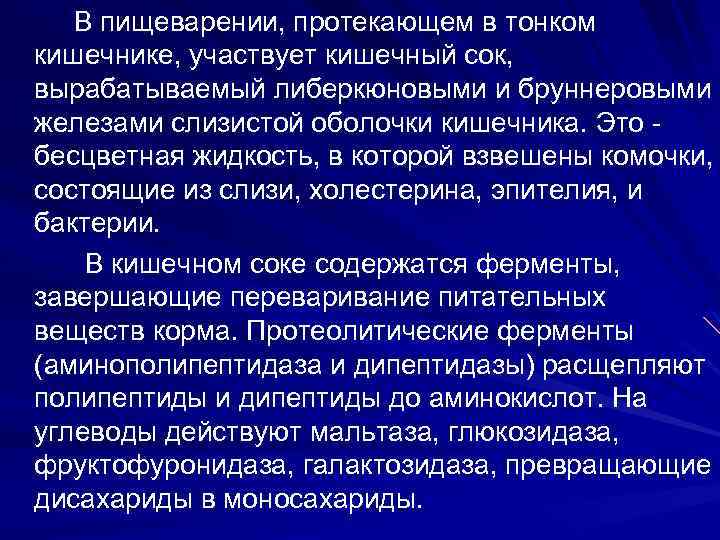 В пищеварении, протекающем в тонком кишечнике, участвует кишечный сок, вырабатываемый либеркюновыми и бруннеровыми железами