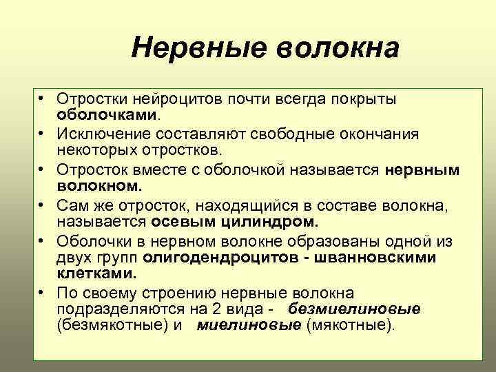 Нервные волокна • Отростки нейроцитов почти всегда покрыты оболочками. • Исключение составляют свободные окончания