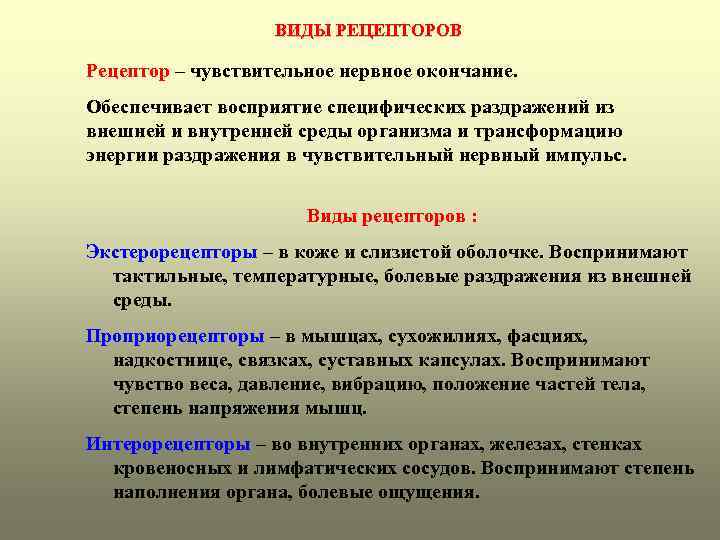 ВИДЫ РЕЦЕПТОРОВ Рецептор – чувствительное нервное окончание. Обеспечивает восприятие специфических раздражений из внешней и