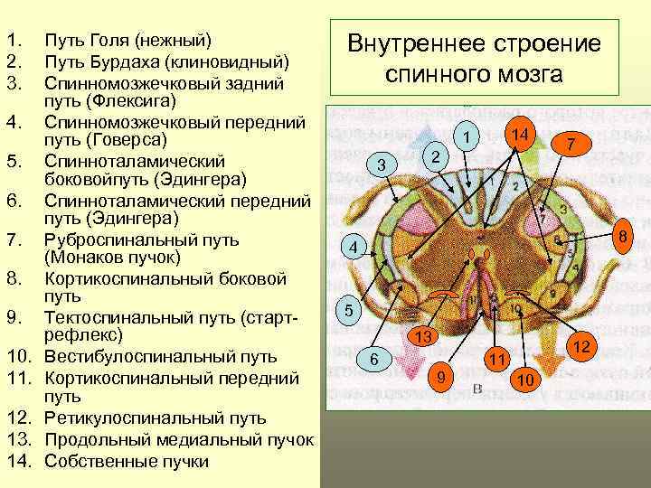 1. 2. 3. 4. 5. 6. 7. 8. 9. 10. 11. 12. 13. 14.