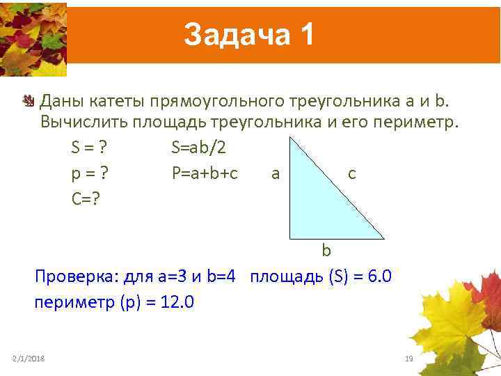 Задача 1 Даны катеты прямоугольного треугольника a и b. Вычислить площадь треугольника и его