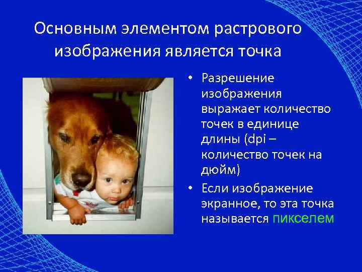 Основным элементом растрового изображения является точка • Разрешение изображения выражает количество точек в единице