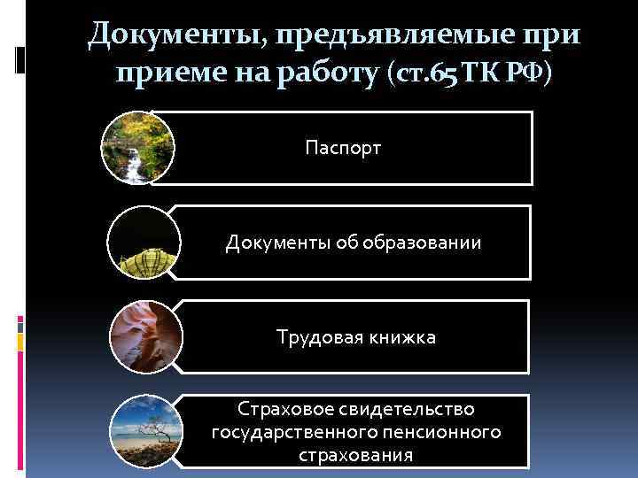 Документы, предъявляемые приеме на работу (ст. 65 ТК РФ) Паспорт Документы об образовании Трудовая