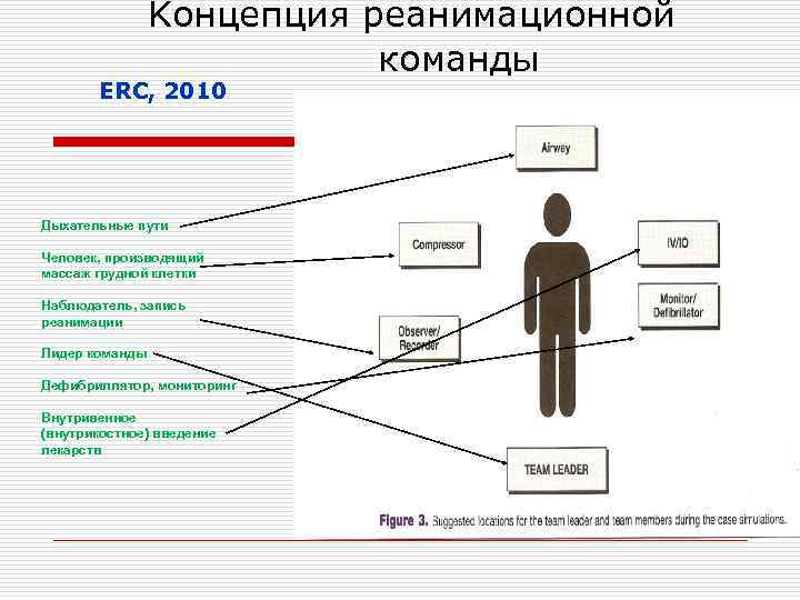  Kонцепция реанимационной ЕRC, 2010 Дыхательные пути Человек, производящий массаж грудной клетки Наблюдатель, запись