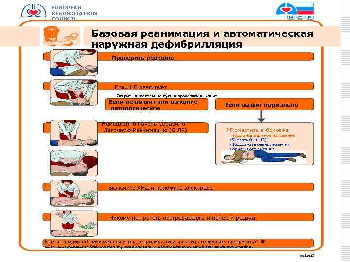 EUROPEAN RESUSCITATION COUNCIL Базовая реанимация и автоматическая наружная дефибрилляция Проверить реакцию Осторожно встряхнуть Громко