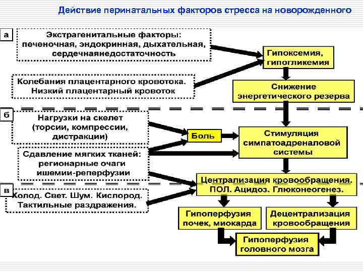 Действие перинатальных факторов стресса на новорожденного 
