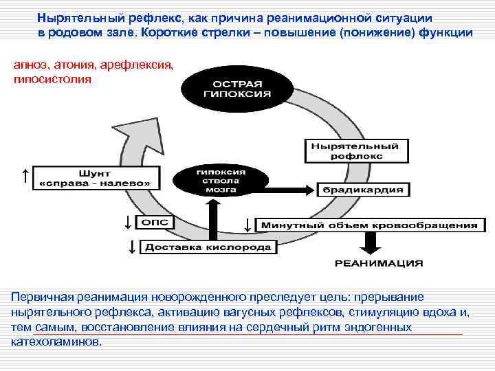 Нырятельный рефлекс, как причина реанимационной ситуации в родовом зале. Короткие стрелки – повышение (понижение)