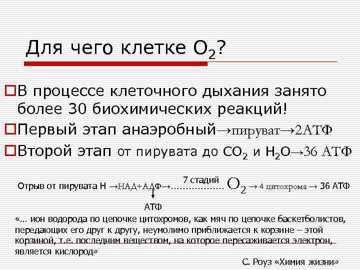 Для чего клетке О 2? o. В процессе клеточного дыхания занято более 30 биохимических