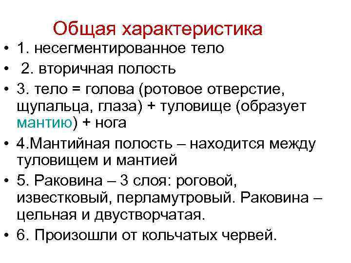 Общая характеристика • 1. несегментированное тело • 2. вторичная полость • 3. тело =
