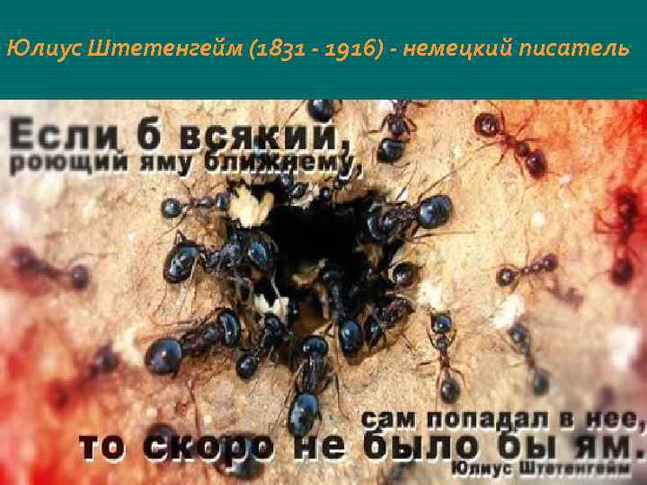 Юлиус Штетенгейм (1831 - 1916) - немецкий писатель 